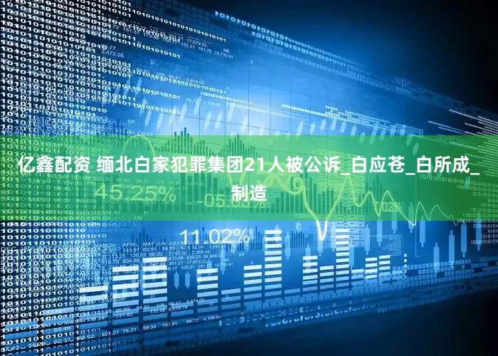 亿鑫配资 缅北白家犯罪集团21人被公诉_白应苍_白所成_制造