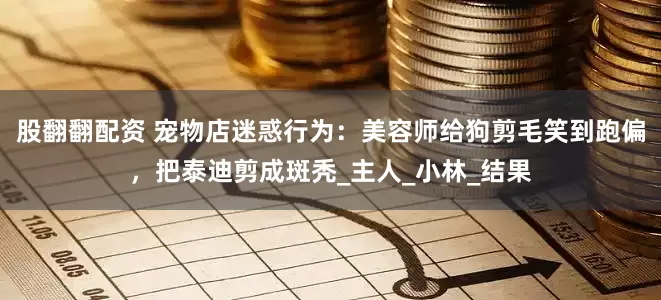 股翻翻配资 宠物店迷惑行为：美容师给狗剪毛笑到跑偏，把泰迪剪成斑秃_主人_小林_结果
