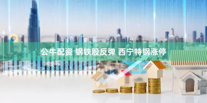 公牛配资 钢铁股反弹 西宁特钢涨停