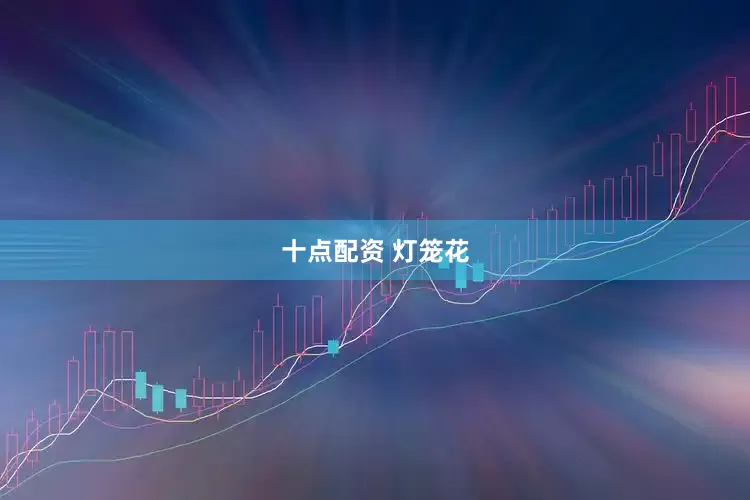 十点配资 灯笼花